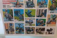IMG-20251004-WA0007