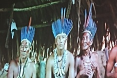 IMG-20250411-WA0001