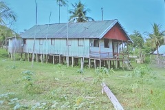 IMG-20250411-WA0031
