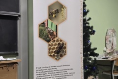 Pozwólmy pszczołom żyć