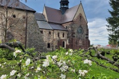 IMG-20250512-WA0018