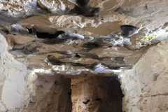IMG-20250512-WA0084