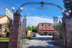 IMG-20250512-WA0104